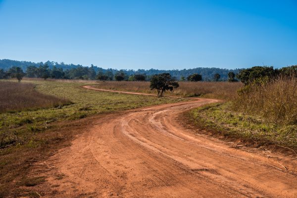 Dirt Driveway Repair